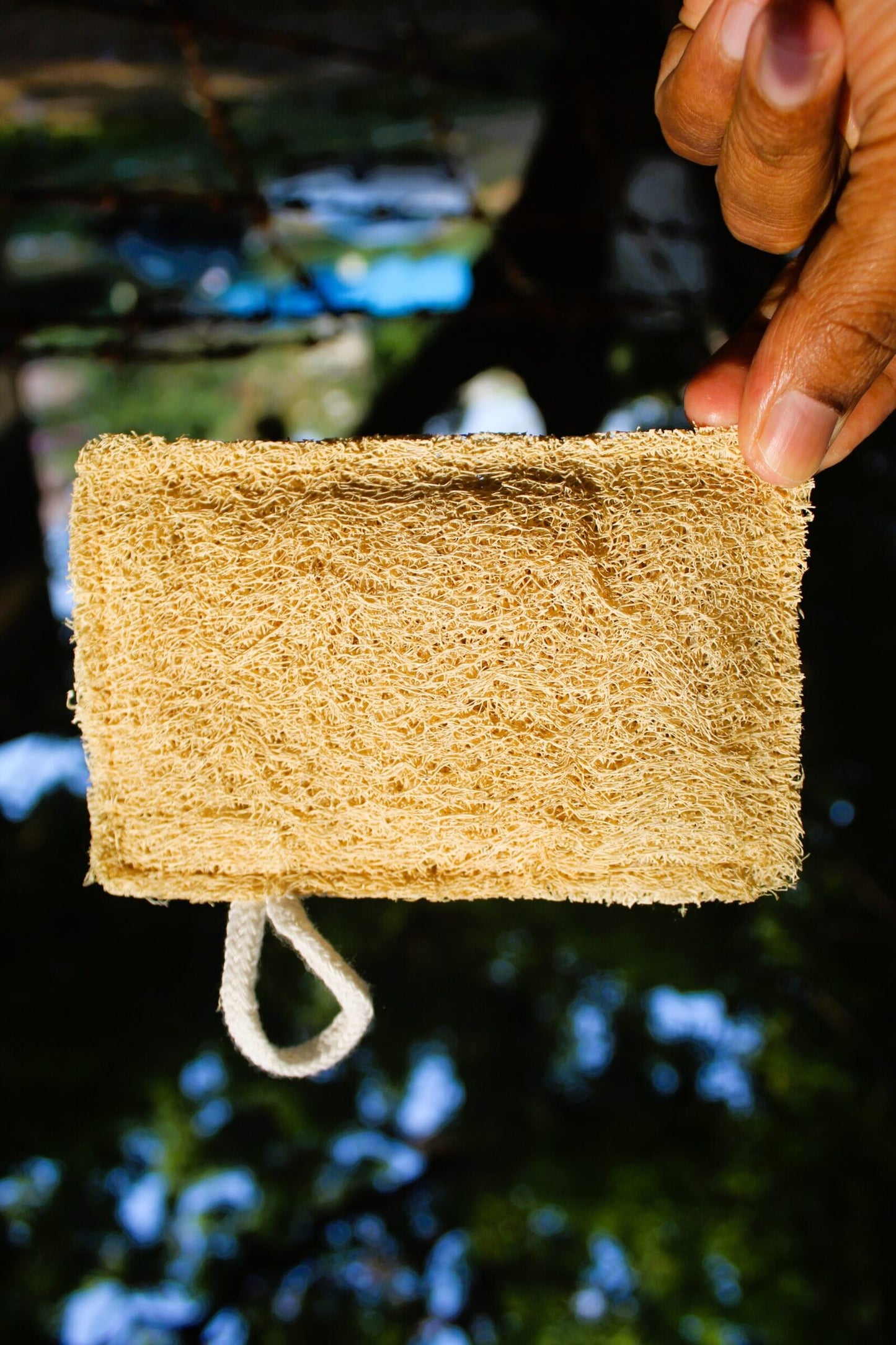 Dinya rectangle loofah