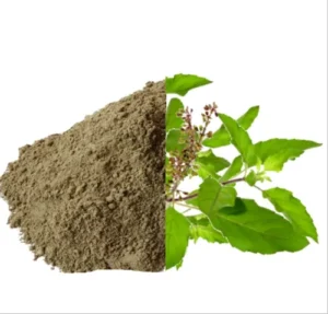What is Tulsi Powder? Benefits, Uses & Ayurvedic Healing Properties 1 Dinya Tulsi Powder