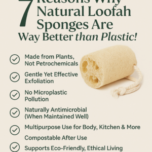 7 Reasons Why Natural Loofah Sponges Are Way Better than Plastic 1 7 Reasons Why Natural Loofah