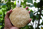 Round Shape Natural Loofah for Bathing (Pack of 3)