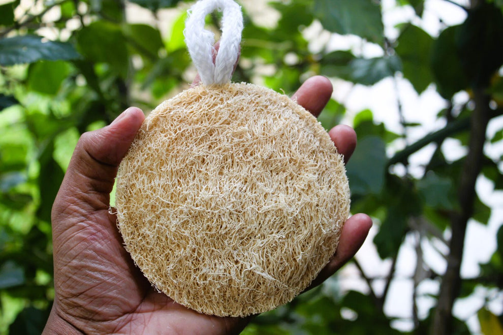 Dinya Round Shape Natural Loofah (Luffa Sponge for Spa)