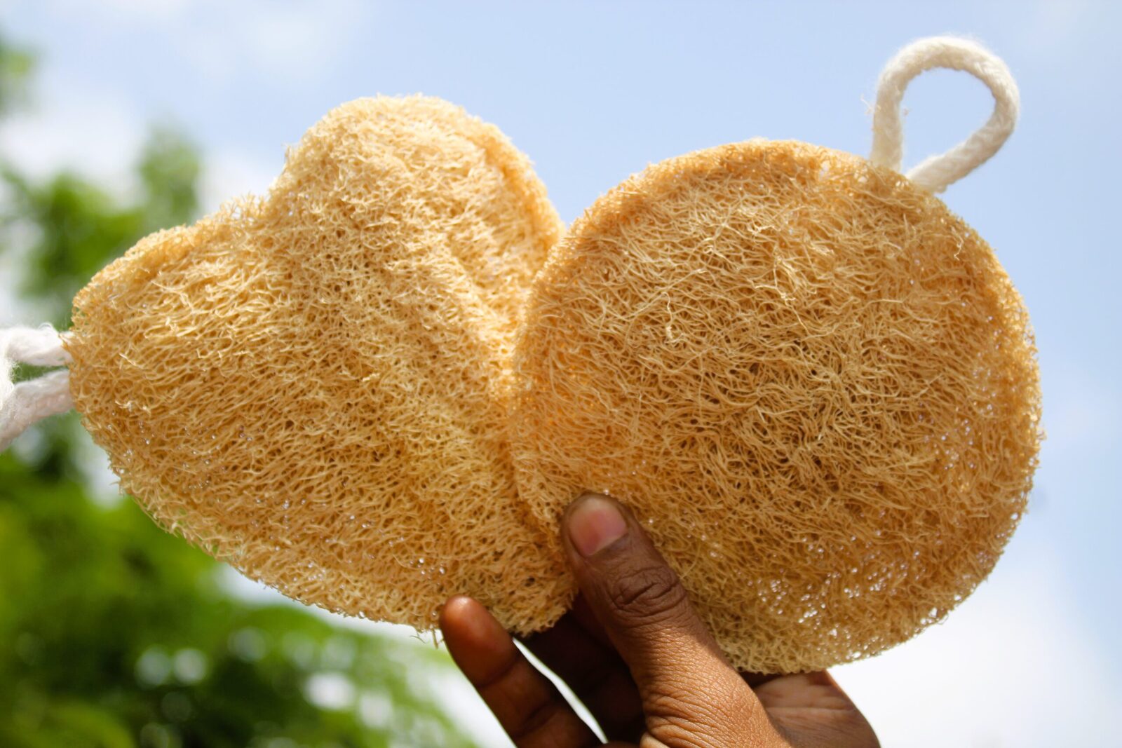 Natural Shower Loofah Sponge