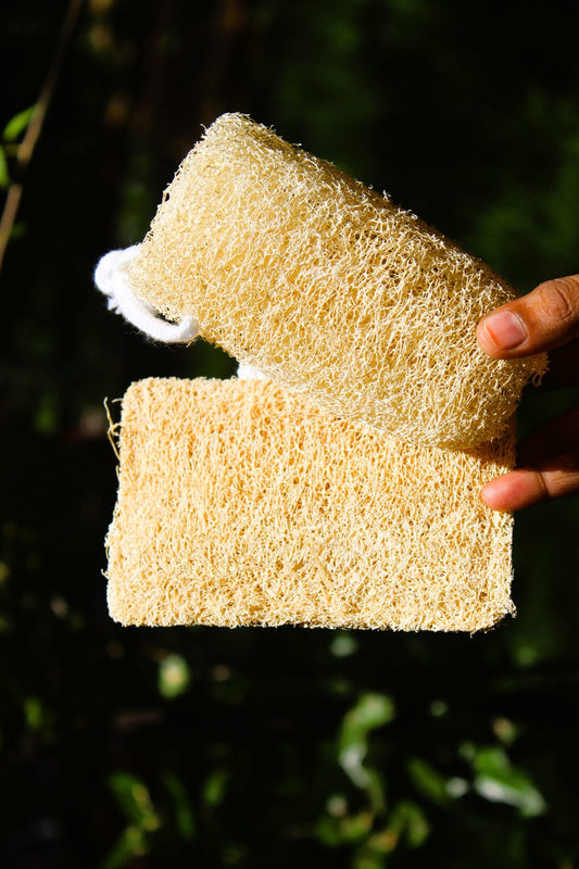 Dinya cylinder and rectangle loofah