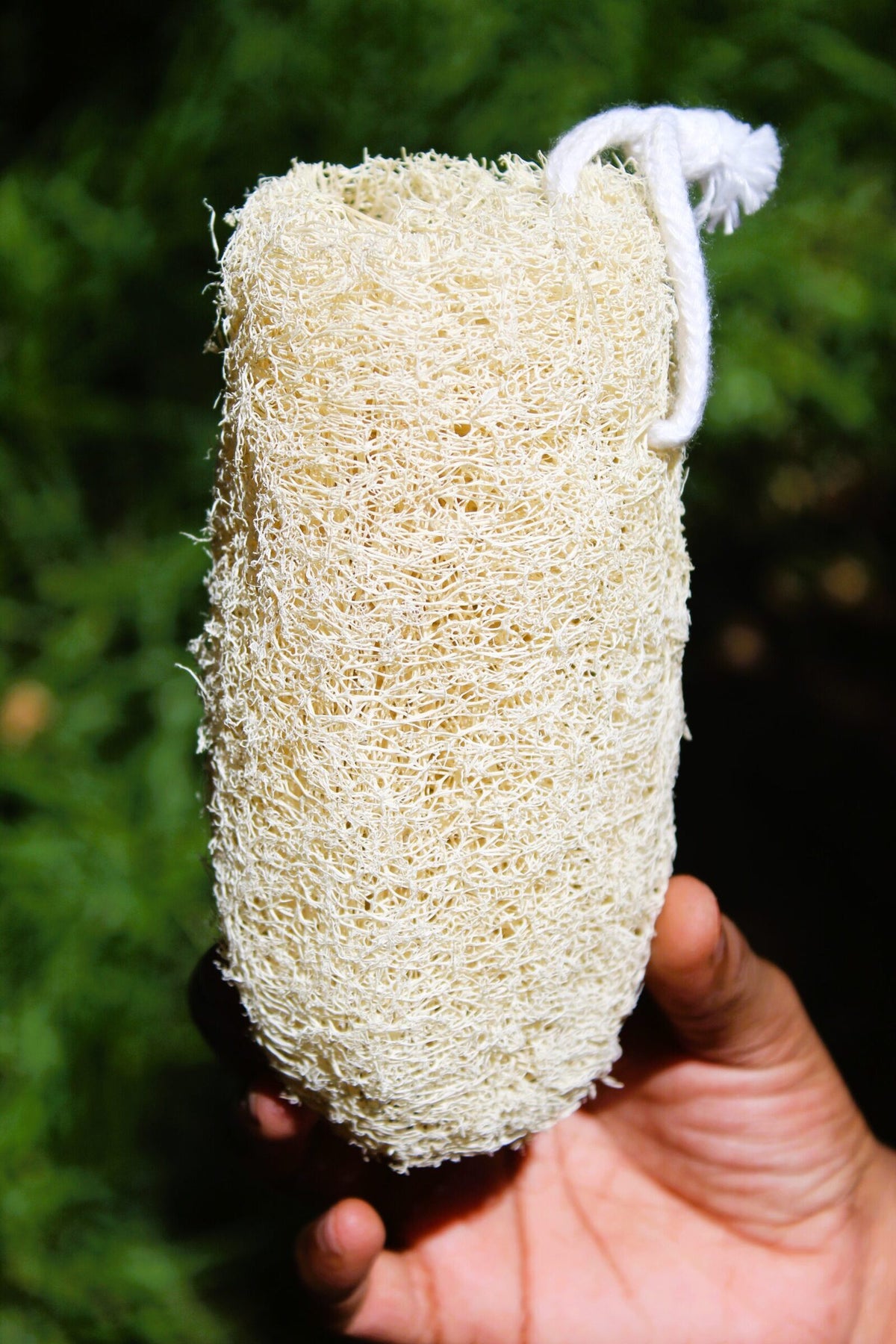 Loofah String Natural Loofah Combo for Smooth Skin Cylindrical and Rectangle