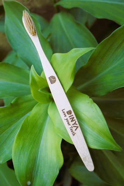 Dinya sandle brush