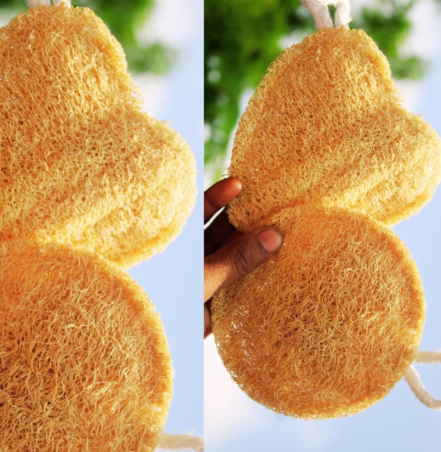 Dinya natural loofah