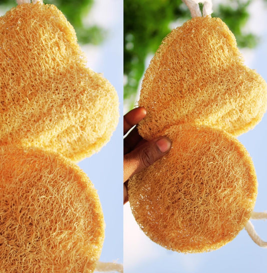Dinya natural loofah