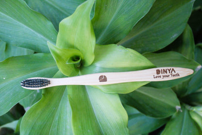 Dinya toothbrush