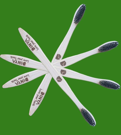Dinya brush