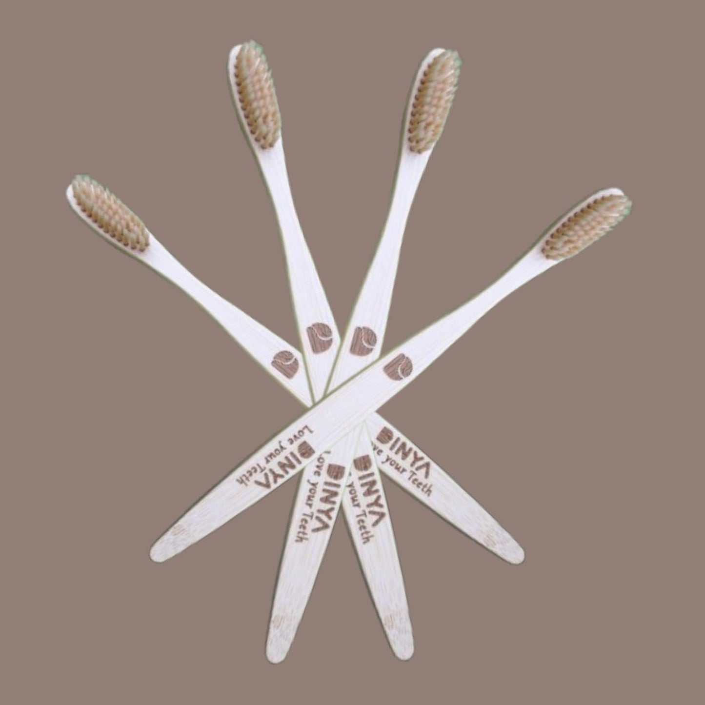 Dinya sandal toothbrush