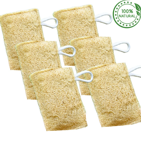 Dinya Natural Kitchen Scrubber – Pack of 6