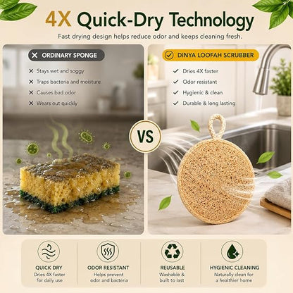 Round Natural Loofah Kitchen Scrubber Pack of 10 | Eco-Friendly Dish Scrubber for Utensils & Vessels