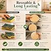 Natural Kitchen Scrubber Pack of 6 | Round Natural Loofah Dish Scrubber