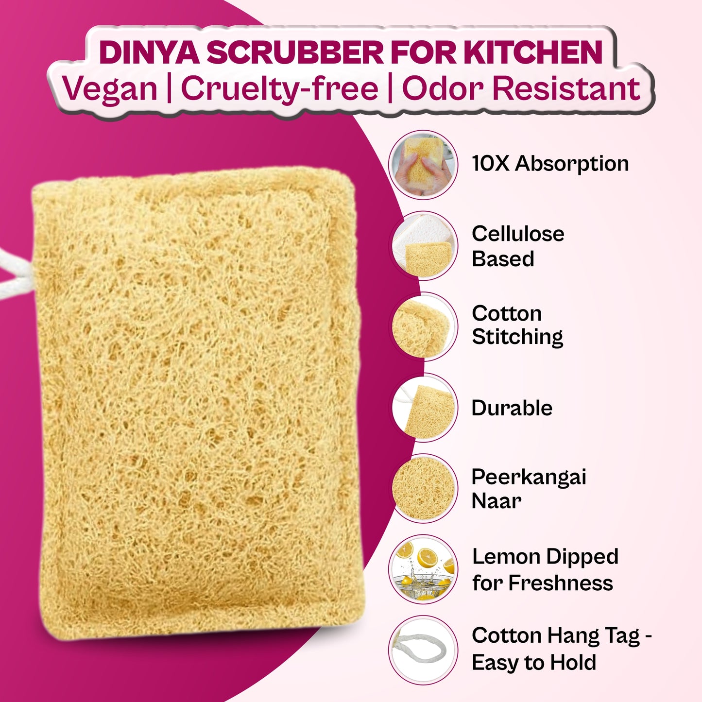 natural scrubber for dishes Vegan