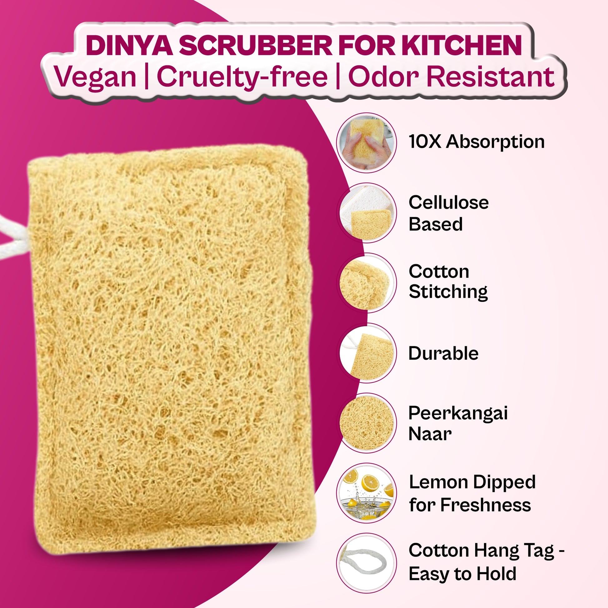 natural scrubber for dishes Vegan