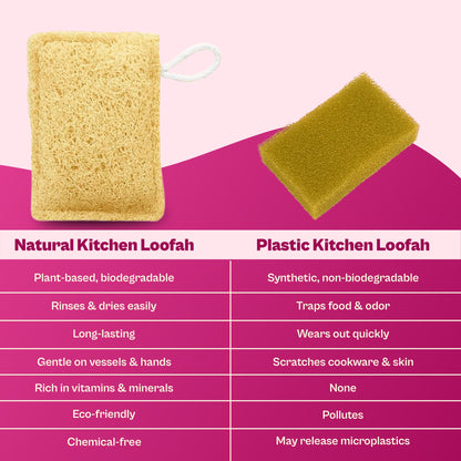 eco friendly dish scrubber plastic alternative
