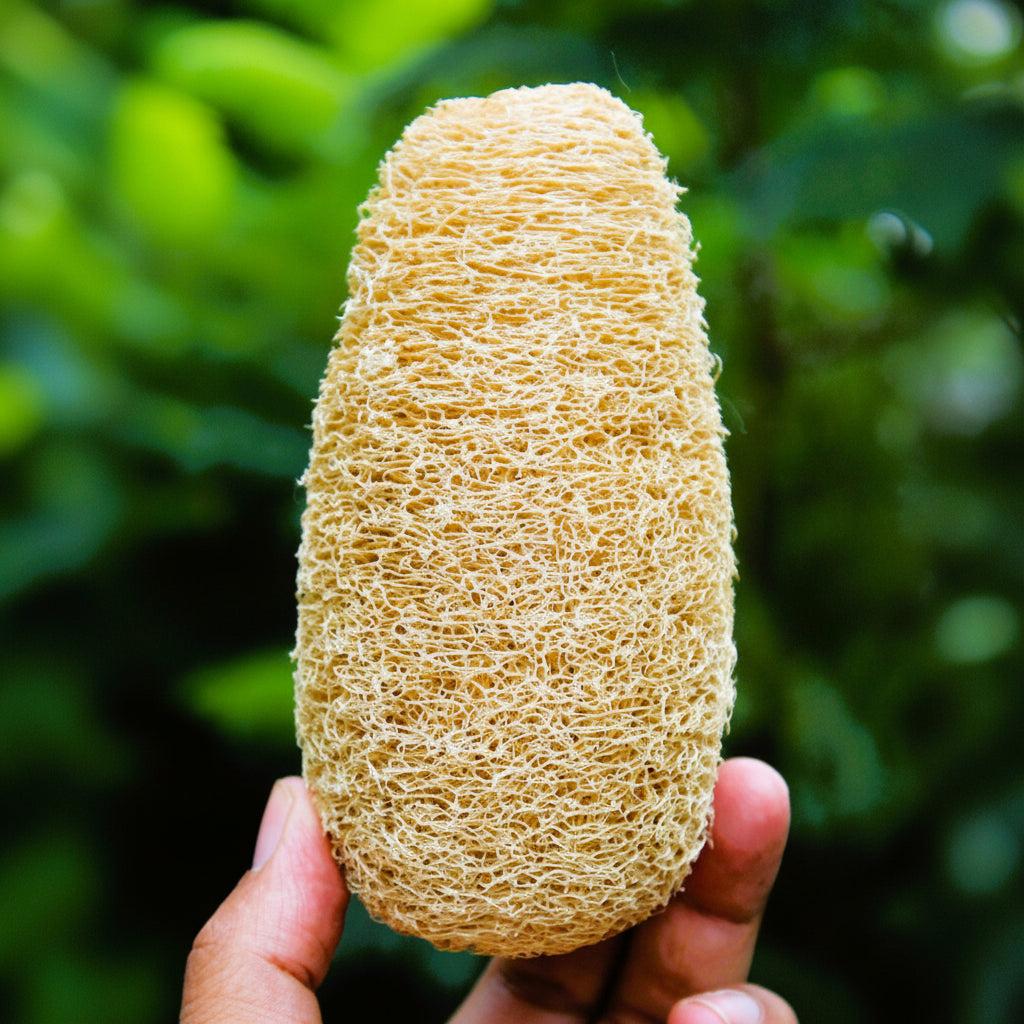 Buy Dinya loofah for skin exfoliation