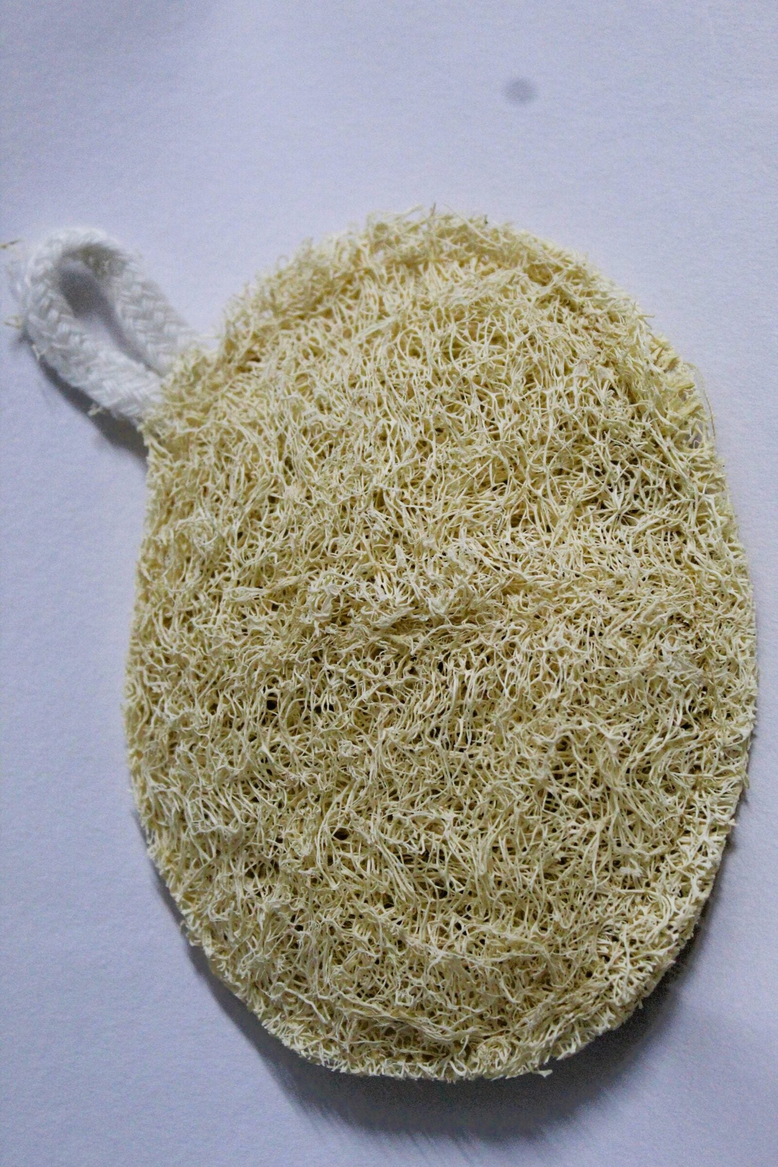 Buy Dinya loofah oval