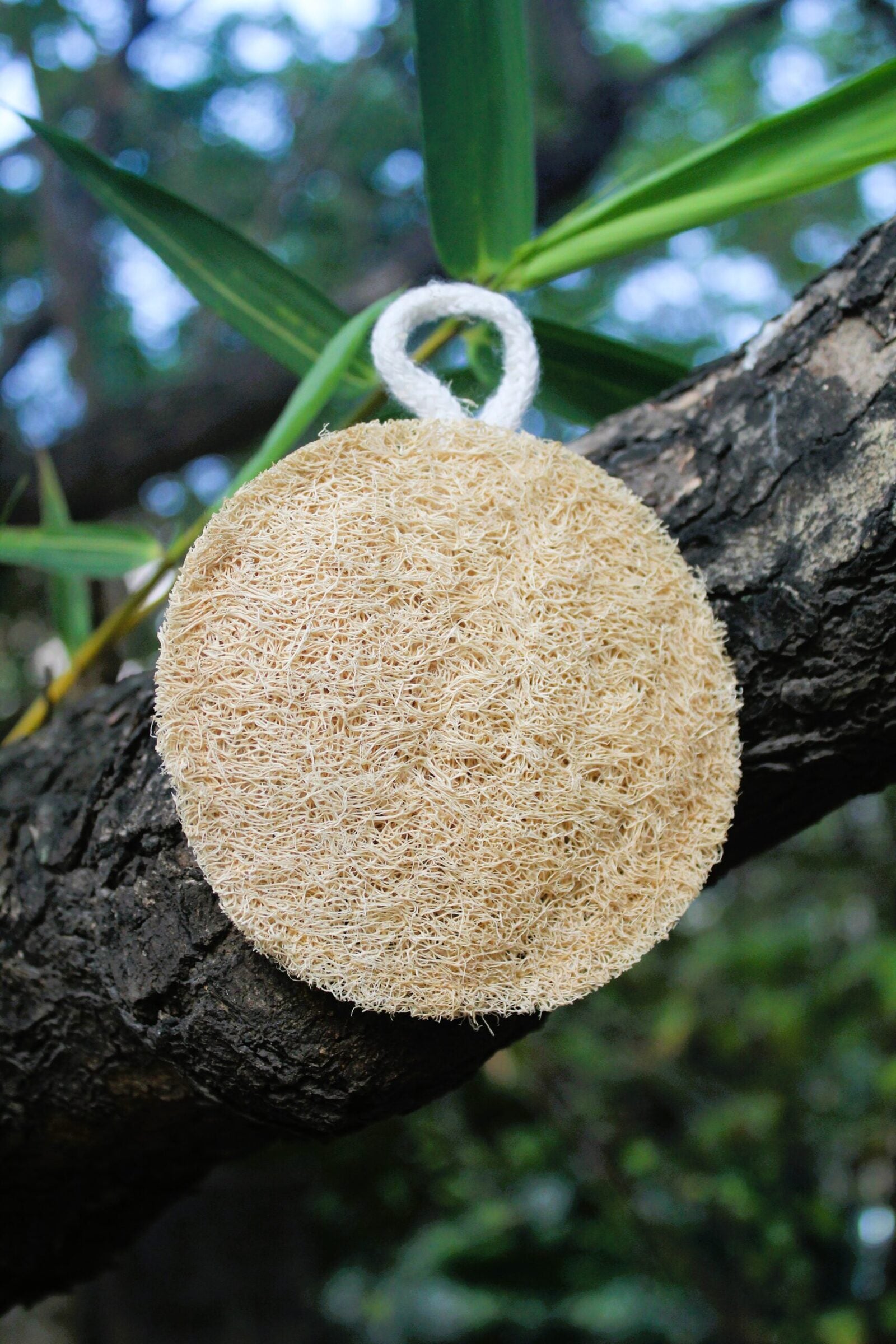 Buy Dinya round loofah