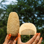 Beard Neem Comb & Oval Loofah Bath and Hair Care Combo