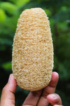 Cylinder Shape Natural Loofah Sponge Pack of 3