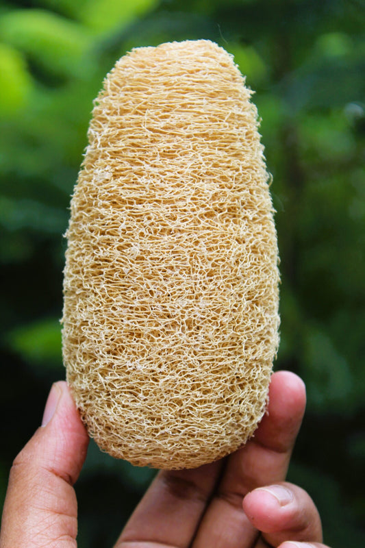 Dinya Cylindrical Shape Natural Loofah