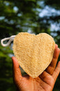 Heart Shape Natural Loofah Pack of 3 for Gentle Daily Exfoliation