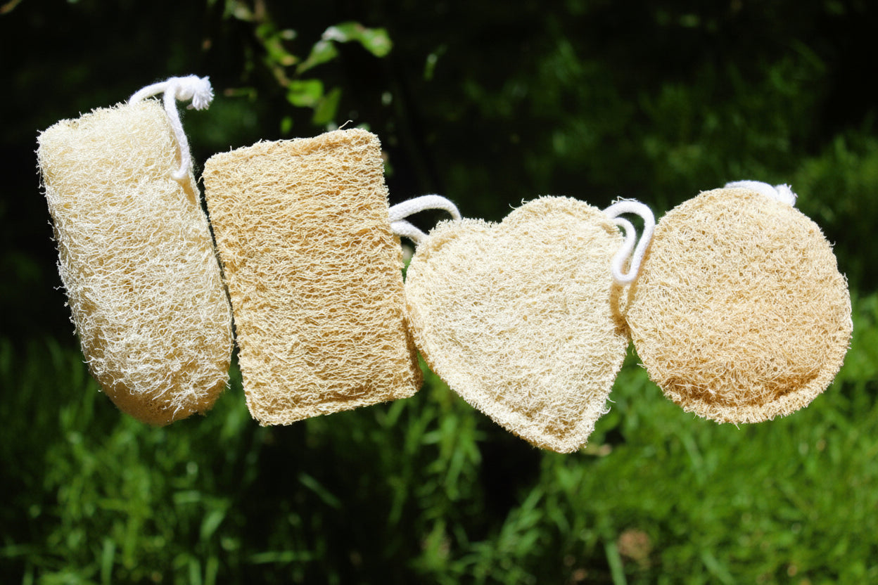 Dinya loofah pack of 4