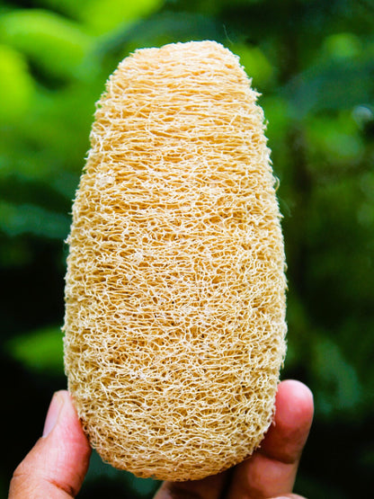 Dinya Oval shape natural loofah