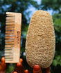 Pocket Neem Comb for Hair Growth with Oval Natural Loofah Combo Kit