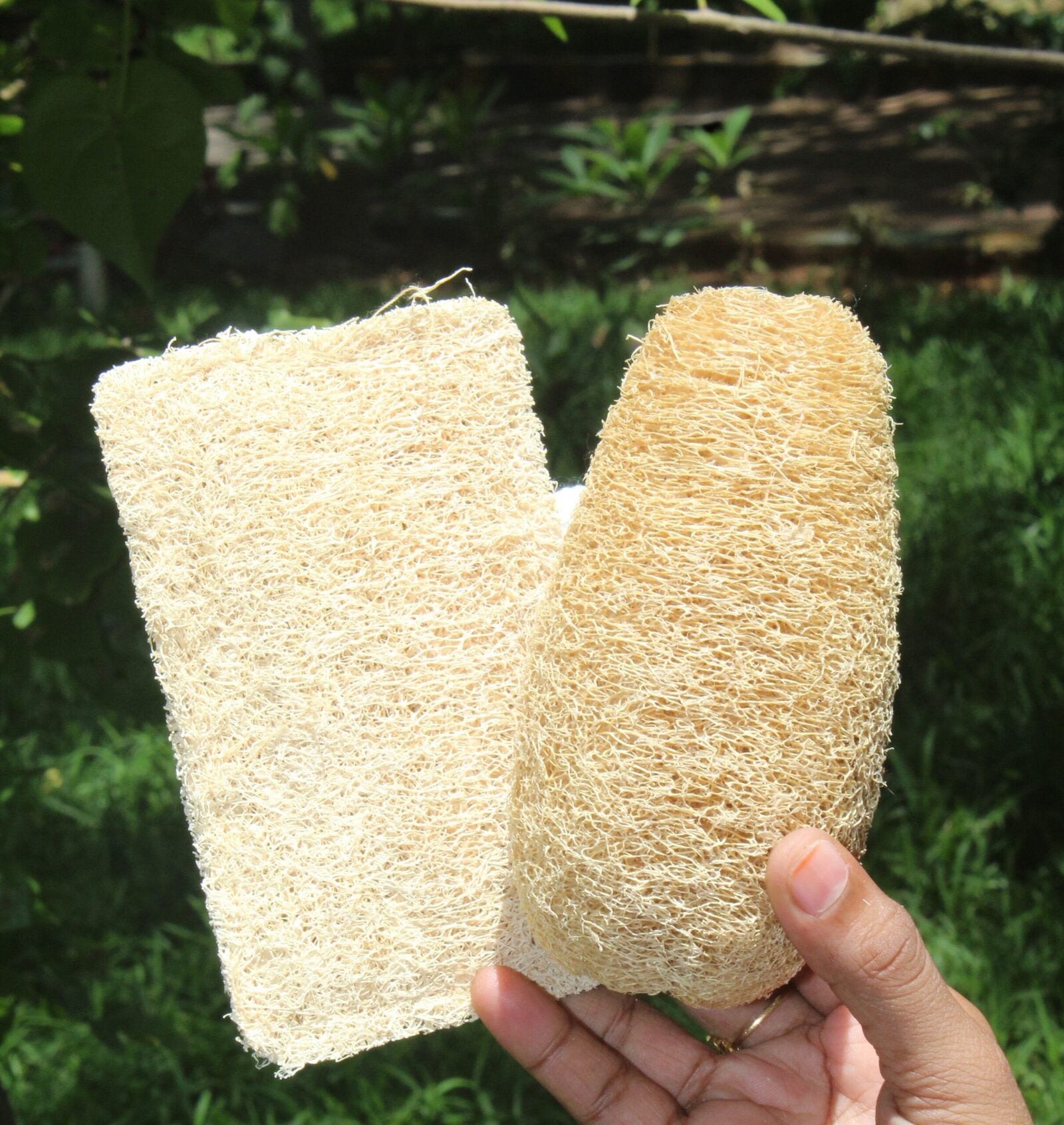 Dinya rectangle and normal loofah
