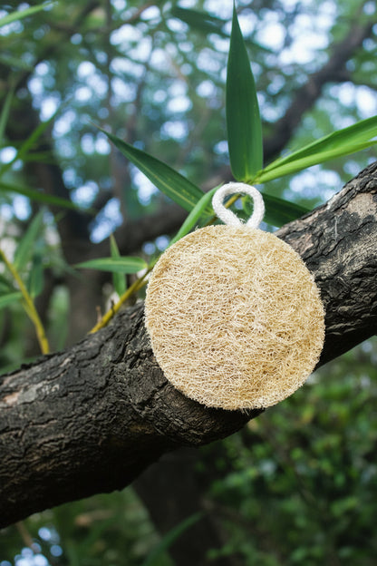 Dinya round loofah