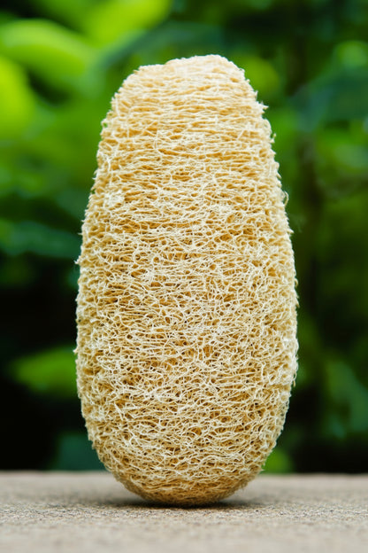 Oval shape natural loofah