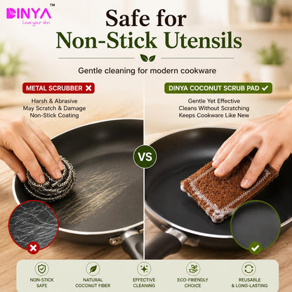 plastic-vs-coconut-kitchen-scrubber