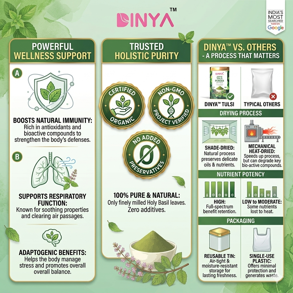 Organic Tulsi Powder | Daily Wellness | Immunity Booster