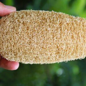 dinya normal shape natural loofah