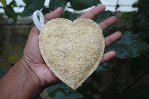 Heart Shaped Natural Loofah