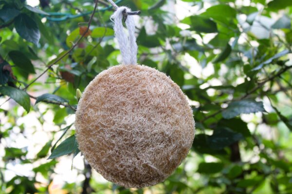 Round Shape Natural Loofah for Men