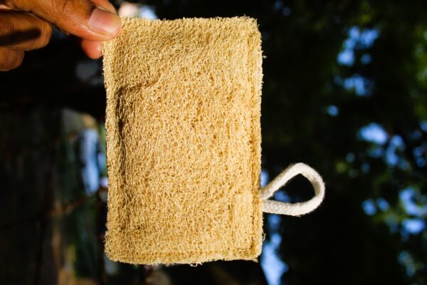 dinya rectangle shape natural loofah