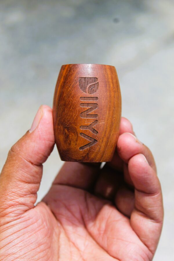 Dinya holder