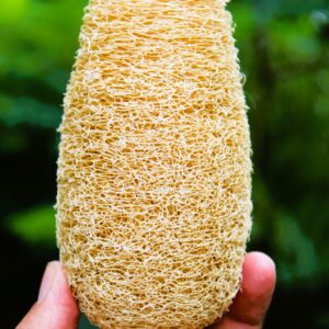 Dinya normal loofah