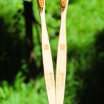 Dinya sandal toothbrush