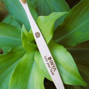 Dinya sandle brush
