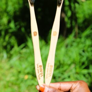 Dinya Black Toothbrush