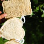 Dinya loofah pack of 4