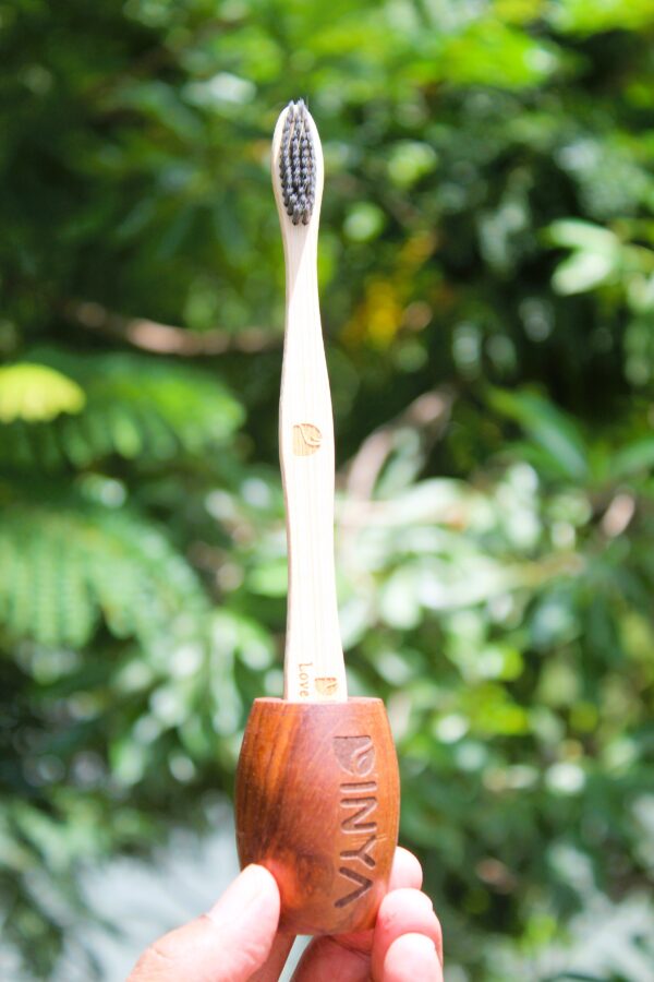 Dinya toothbrush black