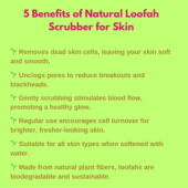loofah-benefits-and-future-benefits.