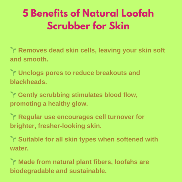 loofah-benefits-and-future-benefits.