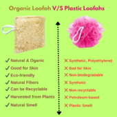 natural loofah vs plastic loofah