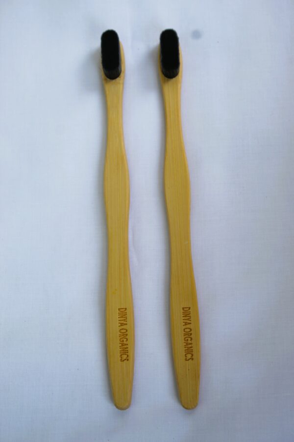 Dinya nano toothbrush